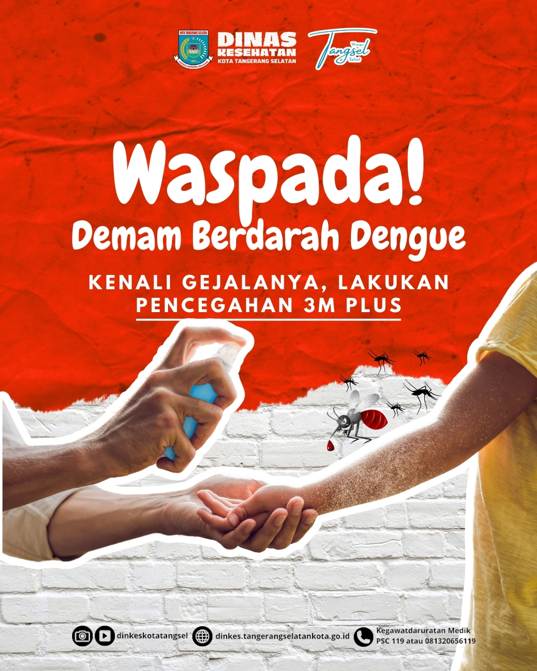 Waspada! Demam Berdarah Dengue